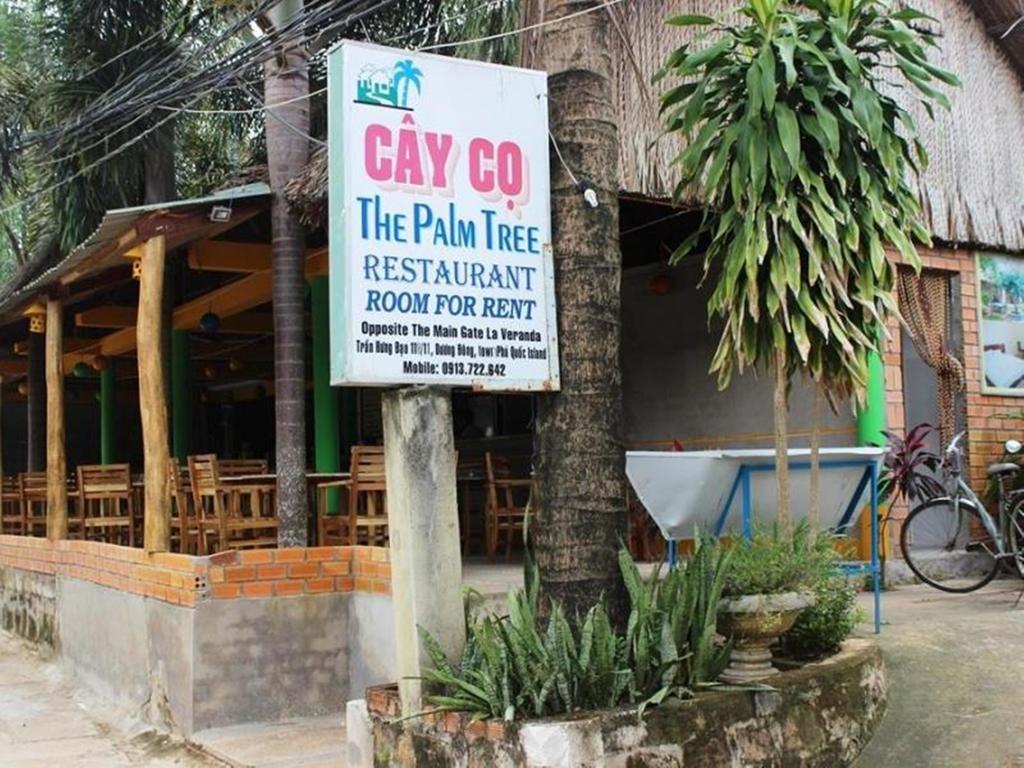 The Palm Tree Guesthouse Phú Quốc Ngoại thất bức ảnh