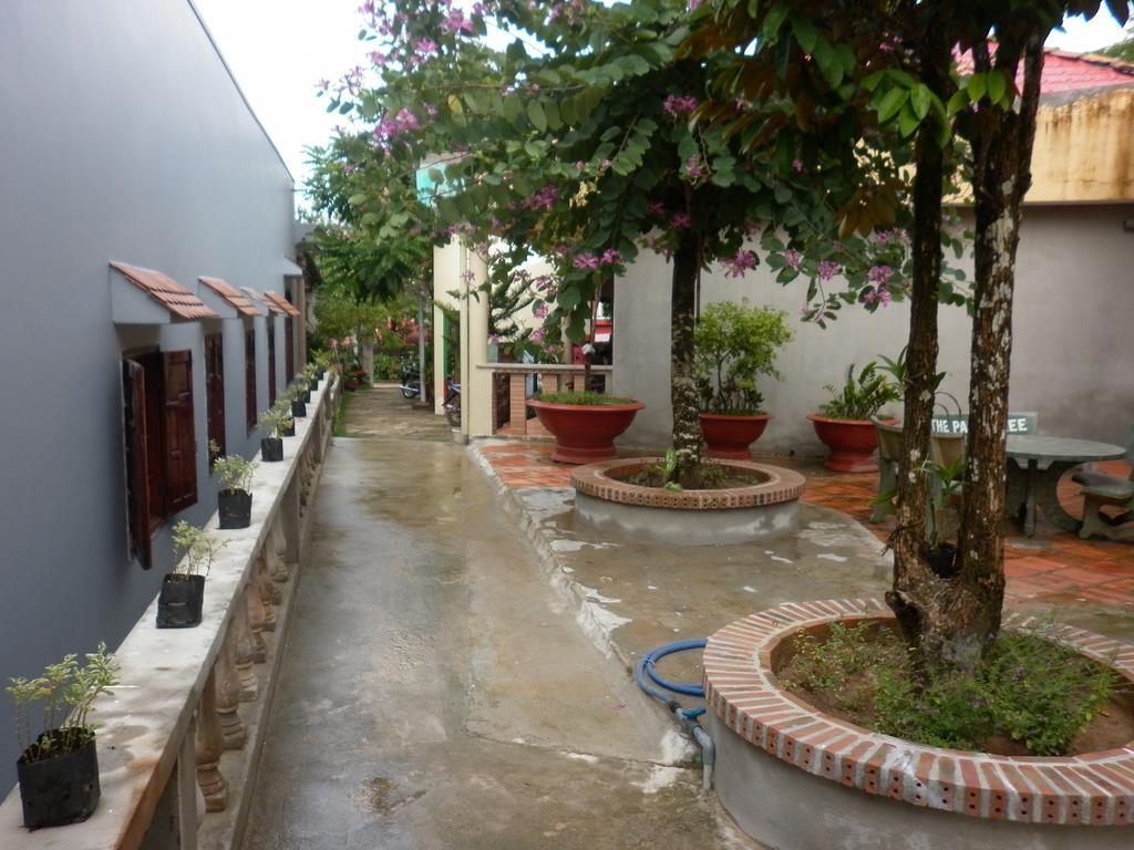 The Palm Tree Guesthouse Phú Quốc Ngoại thất bức ảnh