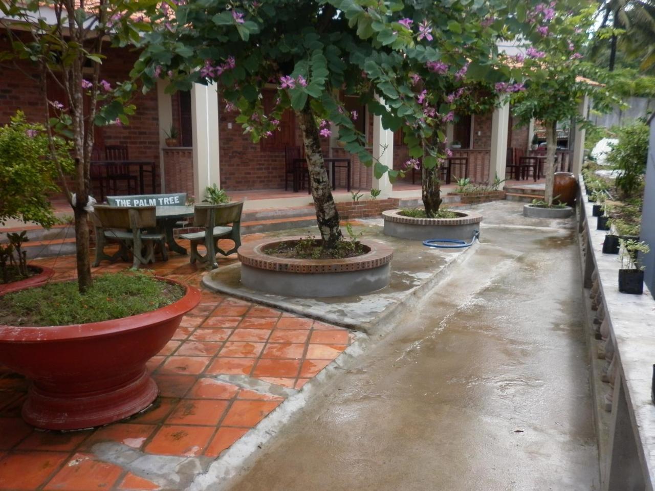 The Palm Tree Guesthouse Phú Quốc Ngoại thất bức ảnh