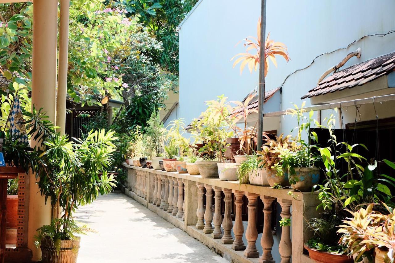 The Palm Tree Guesthouse Phú Quốc Ngoại thất bức ảnh