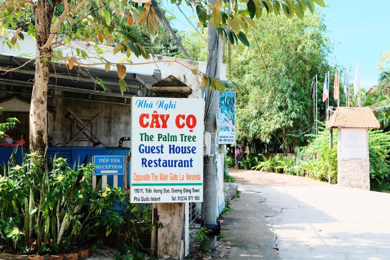The Palm Tree Guesthouse Phú Quốc Ngoại thất bức ảnh